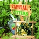 CAPITAL LETTERS-VINYARD
