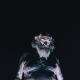 NOTHING-THE GREAT DISMAL -COLOURED-