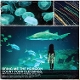 BRING ME THE HORIZON-COUNT YOUR BLESSINGS