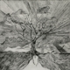 MYRDDIN-MONSTRUOS Y DUENDES VOL. 1: MYFYRIO