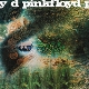 PINK FLOYD-A SAUCERFUL OF SECRETS (2016 VERSION)