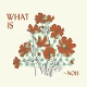 NOIS-WHAT IS ~NOIS?
