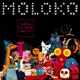 MOLOKO-THINGS TO MAKE AND DO -COLOURED-