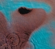 PINK FLOYD-MEDDLE