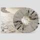 LAMB OF GOD-RESOLUTION
