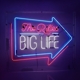RIFLES-BIG LIFE