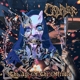 CADAVER-AGE OF THE OFFENDED