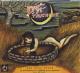 DRIVE-BY TRUCKERS-FINE PRINT