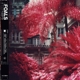 FOALS-EVERYTHING NOT SAVED...PART I