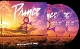 PRINCE-PERFORMED IN THE NETHERLANDS