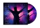 PRINCE-TIMELESS