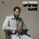 GAYE, MARVIN-MORE TROUBLE