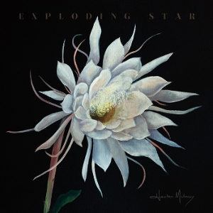 MALONEY, HEATHER-EXPLODING STAR