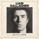 GALLAGHER, LIAM-AS YOU WERE
