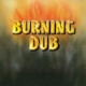 REVOLUTIONARIES-BURNING DUB