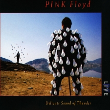 PINK FLOYD-DELICATE SOUND OF THUNDER