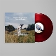 AVALON EMERSON & THE CHARM-WRITTEN INTO CHANG...