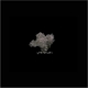 SAULT-ACTS OF FAITH