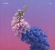 FLUME-SKIN