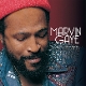 GAYE, MARVIN-COLLECTED -COLOURED-