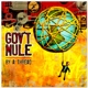 GOV'T MULE-BY A THREAD