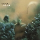 STEELY DAN-KATY LIED