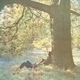 LENNON, JOHN-PLASTIC ONO BAND