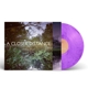 BAVOTA, BRUNO & CHANTAL ACDA-A CLOSER DISTANC...