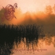 DAWN, FERRECK & GUZ-NAER SOLEN GAR NIPER FOR ...