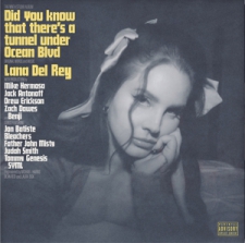 DEL REY, LANA-DID YOU KNOW THAT THERE'S A TUN...