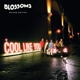 BLOSSOMS-COOL LIKE YOU