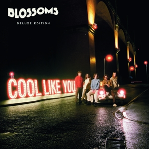 BLOSSOMS-COOL LIKE YOU
