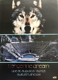 TANGERINE DREAM-LIVE AT AUGUSTA RAURICA - SWI...