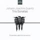 ENSEMBLE LABIRINTO ARMONICO-JOHANN JOACHIM QU...