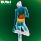 BUSH-KINGDOM