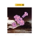 LEVEL 42-WORLD MACHINE -COLOURED-