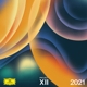 VARIOUS-PROJECT XII 2021