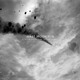 HALF MOON RUN-A BLEMISH IN THE GREAT LIGHT