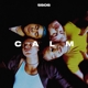 5 SECONDS OF SUMMER-CALM