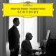 POLLINI, MAURIZIO & DANIELE POLLINI-SCHUBERT