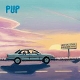 PUP-WHO WILL LOOK AFTER THE DOGS?