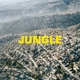 BLAZE, THE-JUNGLE